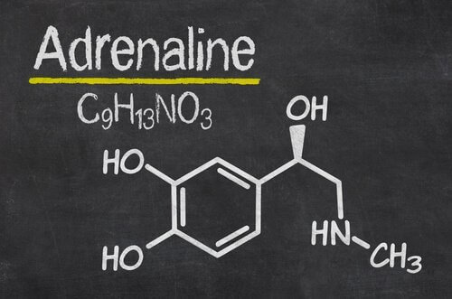 Den kjemiske strukturen av adrenalin.