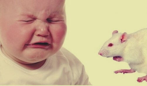 Lille Albert og rotta: etikk og eksperimenter