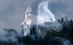 Dristighet: Ha motet til å ta sjanser