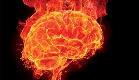 En hjerne i brann