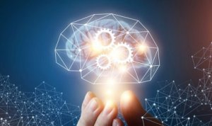 Teorien om machiavellistisk intelligens