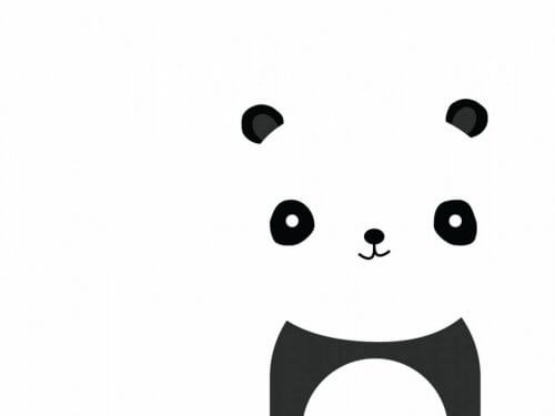Panda bjørn.
