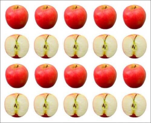 Rader av epler.