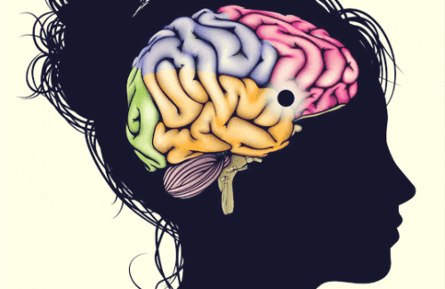 Nucleus accumbens: Et lærings- og nytelsessenter
