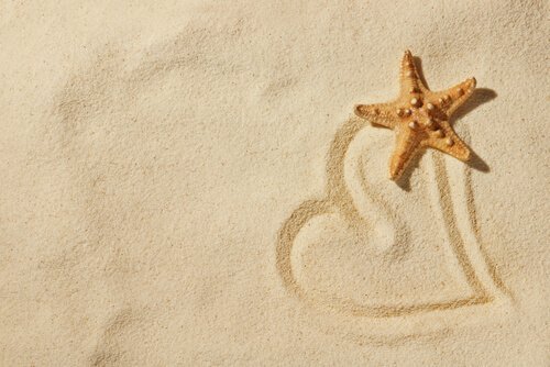 Sand og sjøstjerne.