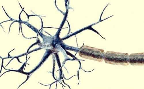 Et nærbilde av nociceptorer (smertestillende receptorer).