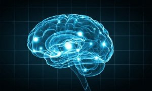 Biopsykologiske forskningsmetoder: Hva er de egentlig?