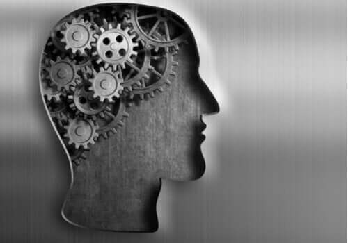 David Hume var en empirist og mente at menesker kun lærer gjennom erfaring.