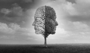 Harald Schultz-Hencke: En dissident psykoanalytiker