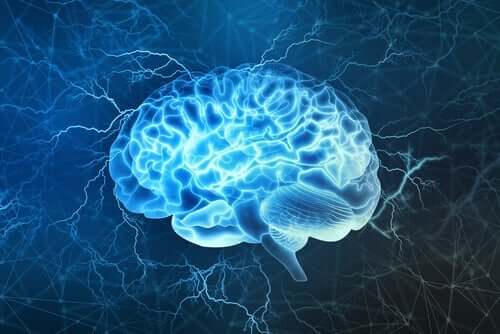 Blue Brain prosjektet kan gi utallige fordeler for både forskning og klinisk praksis.