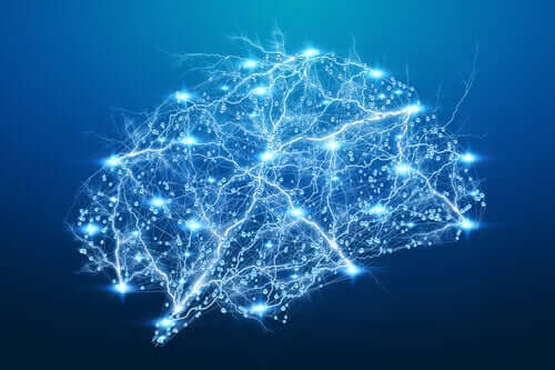 En hjerneillustrasjon som viser opplyste nevrale traséer.