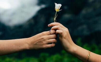 En hånd gir og en annen hånd tar en hvit rose