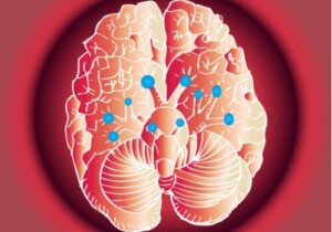 De fantastiske nervene i hjernen og funksjonen deres