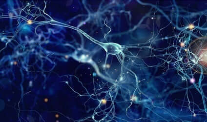 Nevronene våre trenger søvn for å repareres.