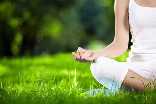 Mindfulness i gresset
