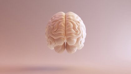 Menneskehjernen