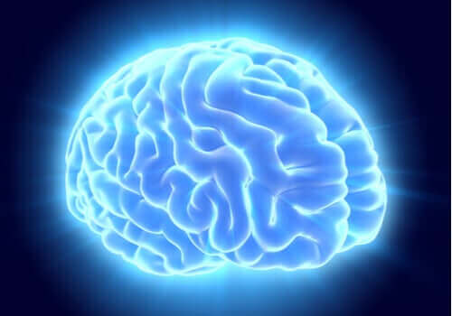 En stor studie viste 97 tidligere ukjente områder i hjernen. 