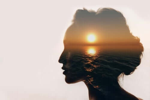 En disposisjon av et kvinnes hode med en solnedgang inni.