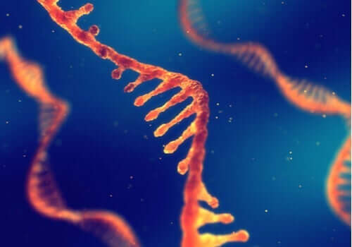 Et digitalt bilde som viser RNA-tråder.