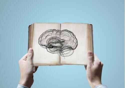 Nevrovitenskap: Kan du arve kunnskap?