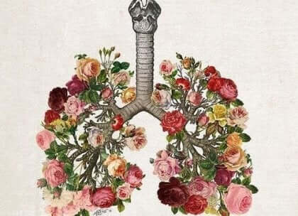 Et bilde av lunger lagd av blomster