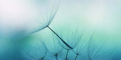 Rolige sinn har mer klarhet og et bredere perspektiv.