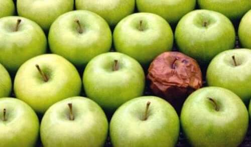 Råtten eple-teorien på arbeidsplassen