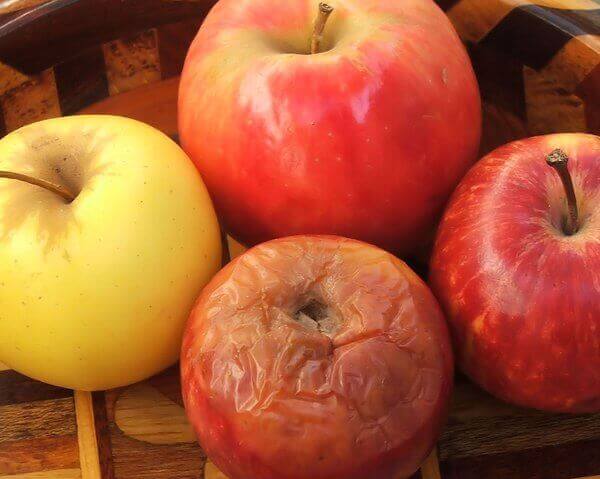 Rotten eple blant andre epler
