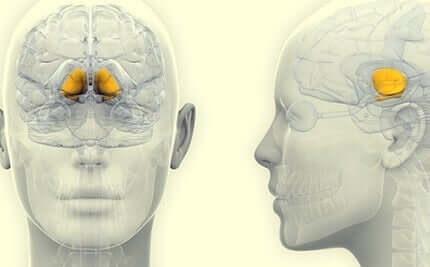 Substantia nigra ligger i midthjernen