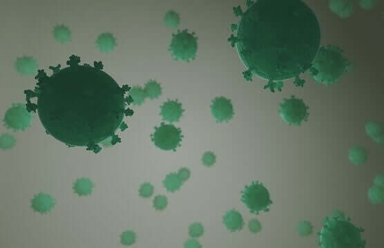 Virus