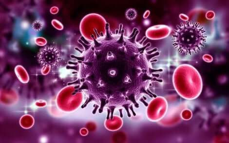 Verdens AIDS-dag setter fokus på å forebygge og behandle HIV og AIDS.