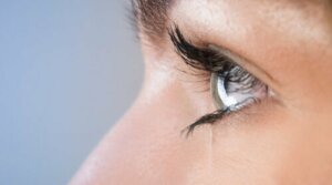 EMDR-terapi og mindfulness for å helbrede posttraumatisk stress