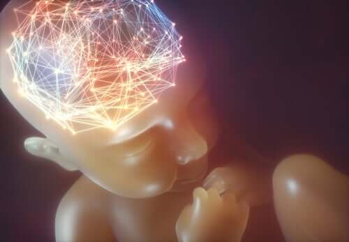 En nevronal synkronisering av babyer.