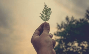 Dette kan du gjøre for å hjelpe til under hjemmeisoleringen