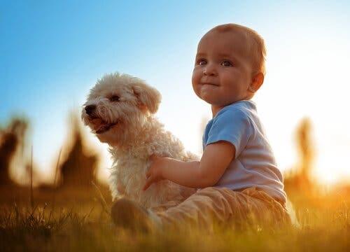 En liten gutt med hunden sin.