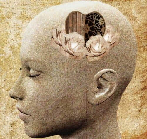 Et menneskelig hode med hjertesymbol inni.