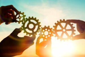 Menneskelig utvikling: De viktigste karakteristikkene