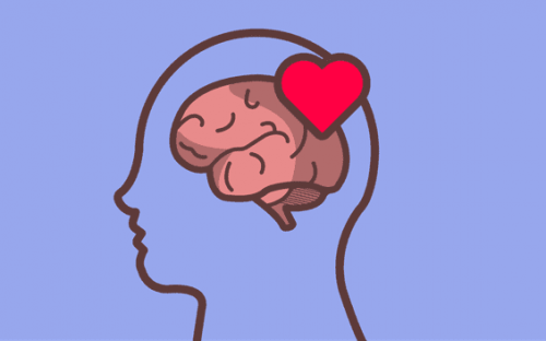 Tegning av hode der hjerte og hjerne står ved siden av hverandre