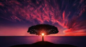 Ahimsa: Filosofien om integrert fred