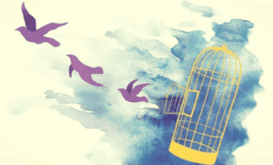 Sier du unnskyld for mye?