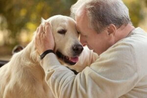 Dyreassistert terapi for pasienter med Alzheimers