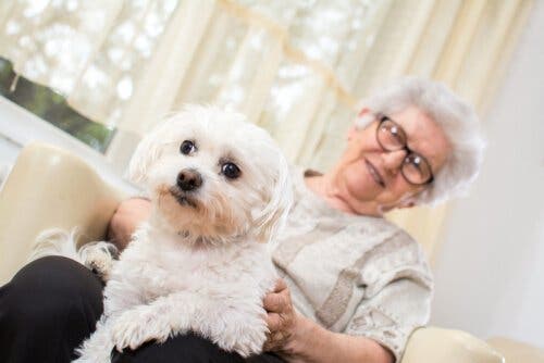 Dyreassistert terapi er svært fordelaktig for Alzheimers-pasienter.
