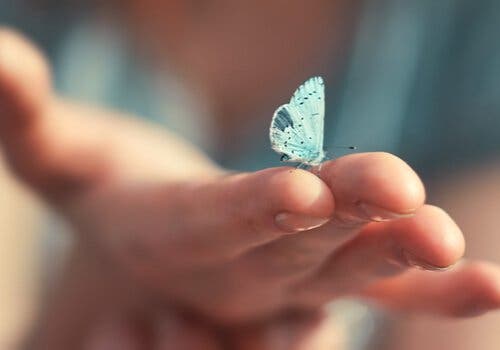 En hånd med en sommerfugl.