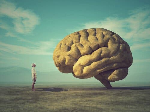 En person som ser på en gigantisk hjerne.