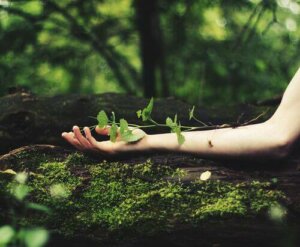 Hvis jeg tror på meg selv, vil jeg aldri slutte å vokse