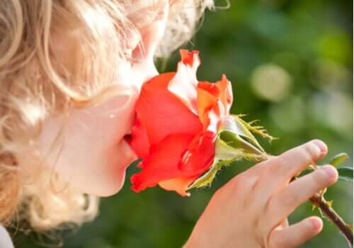 En jente som lukter på en blomst