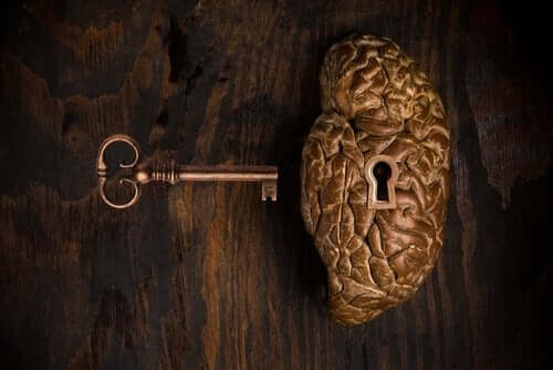 Nøkkelen til hjernen.