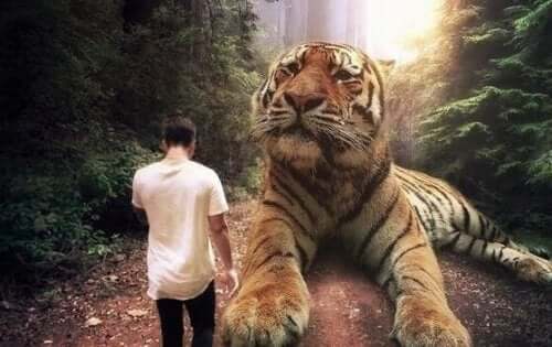 En mann som går ved siden av en stor tiger.