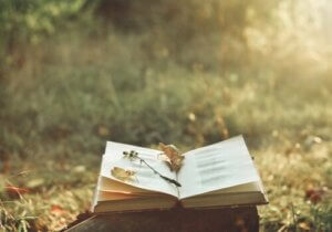 Poesiens magi og hvordan den kan lindre smerte