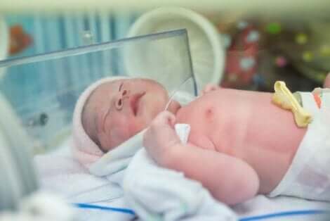 En nyfødt i en inkubator.